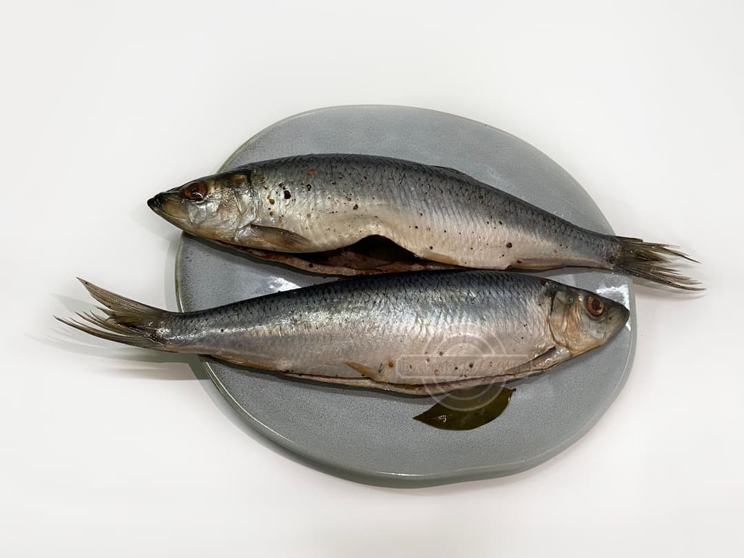 Hering sarat eviscerat cu condimente