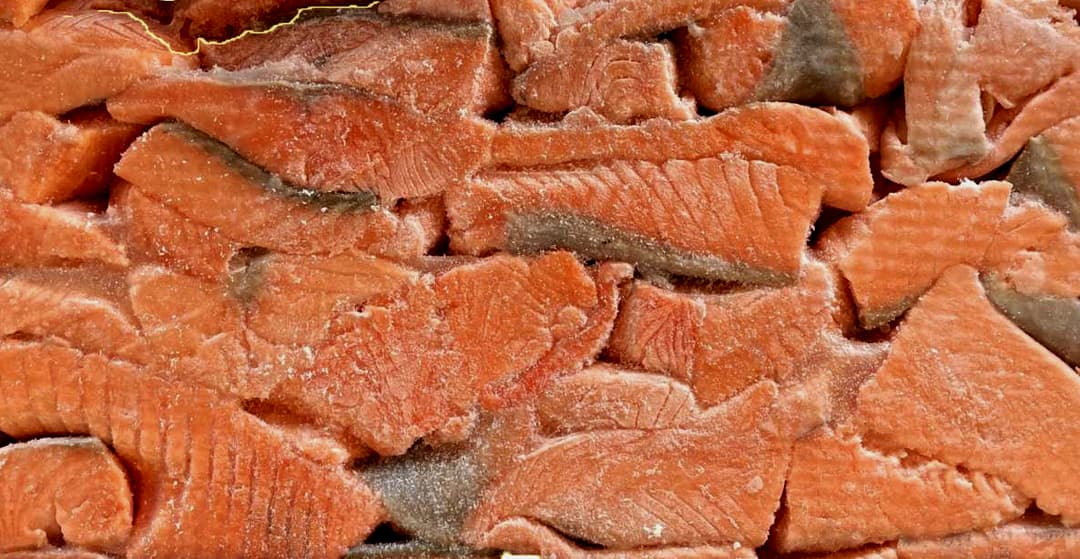 Bucati somon fara piele congelate ambalate