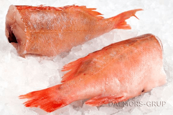 Biban rosu fără cap congelat