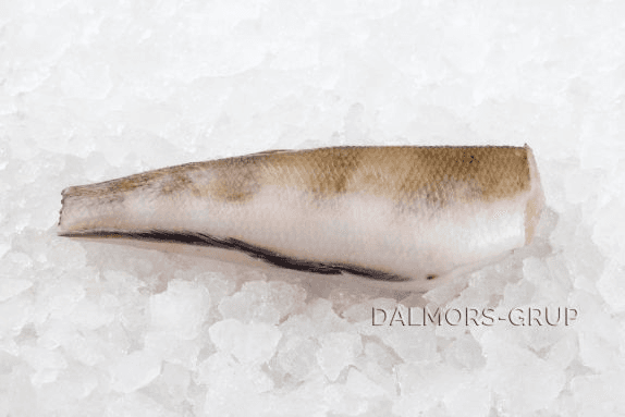 Nototenia trunchi congelat