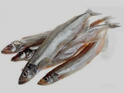Capelin congelat (25-35)