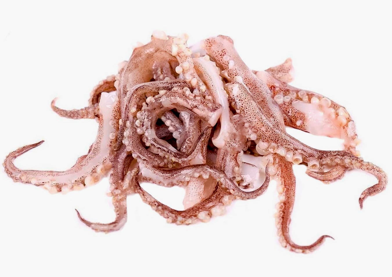 Calamari congelati tentacule
