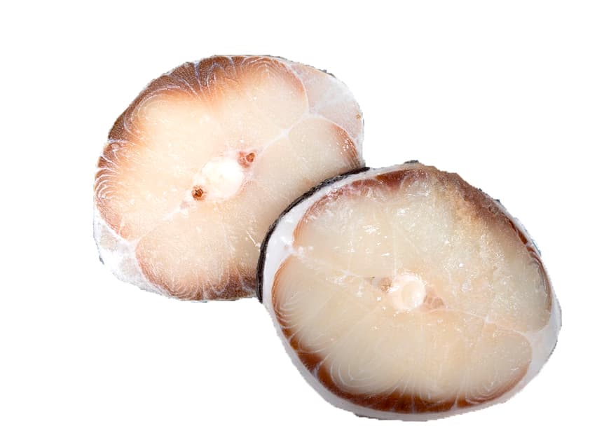 Blue Shark (Rechin) congelat rondele