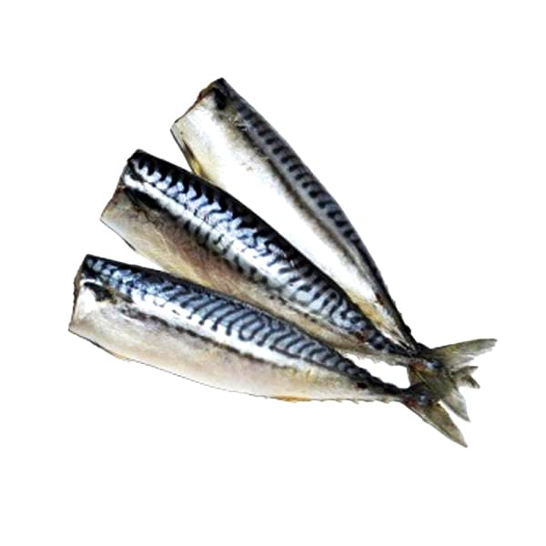 Macrou fara cap congelat ambalat